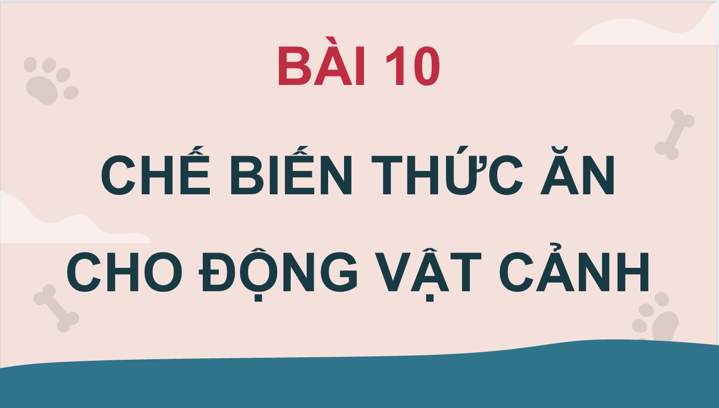 Giáo án điện tử Chuyên đề Công nghệ 11 Kết nối tri thức Bài 10: Chế biến thức ăn cho động vật cảnh | PPT Chuyên đề Công nghệ 11