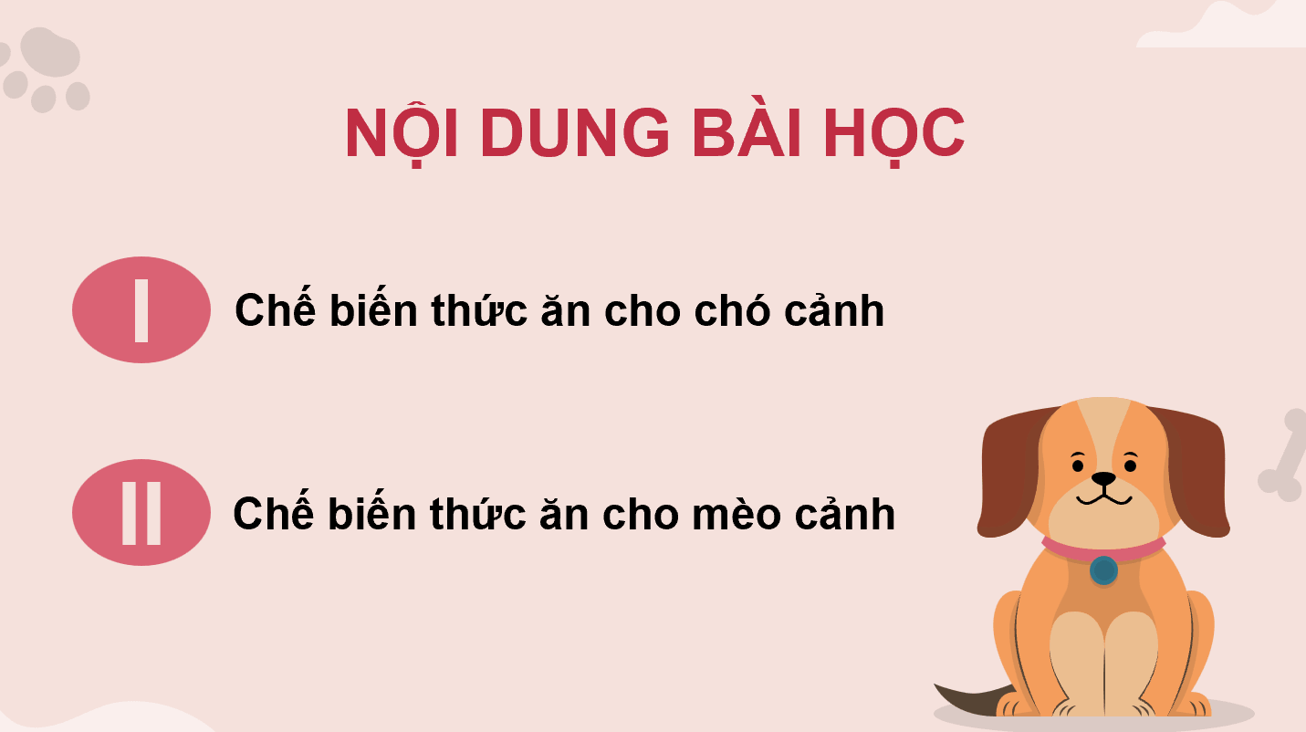 Giáo án điện tử Chuyên đề Công nghệ 11 Kết nối tri thức Bài 10: Chế biến thức ăn cho động vật cảnh | PPT Chuyên đề Công nghệ 11