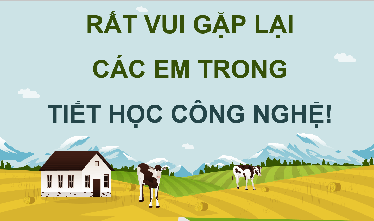 Giáo án điện tử Chuyên đề Công nghệ 11 Kết nối tri thức Bài 11: Giới thiệu về chăn nuôi theo tiêu chuẩn VietGAP | PPT Chuyên đề Công nghệ 11