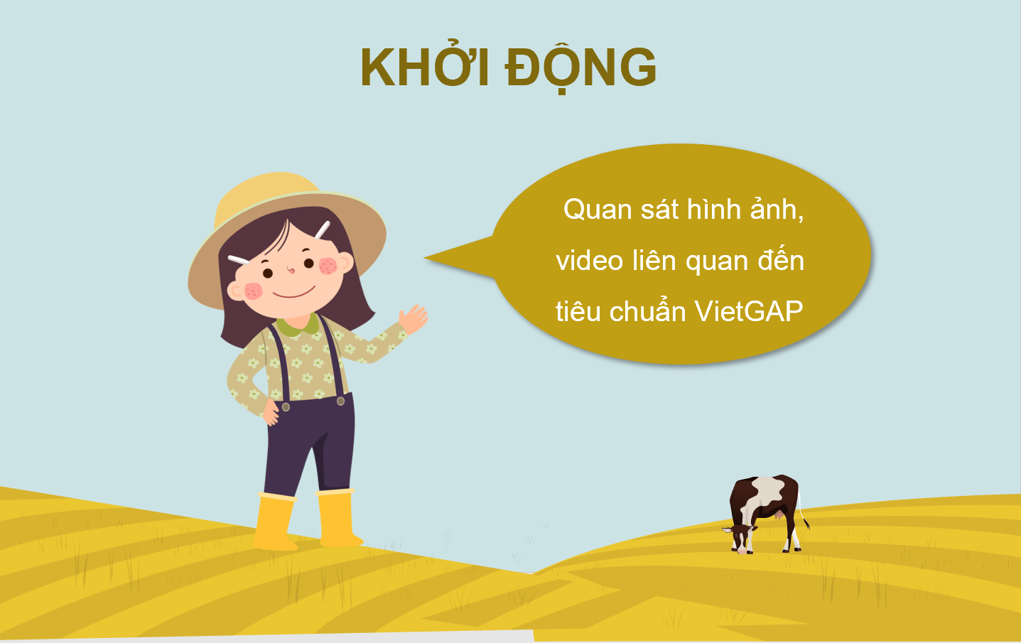 Giáo án điện tử Chuyên đề Công nghệ 11 Kết nối tri thức Bài 11: Giới thiệu về chăn nuôi theo tiêu chuẩn VietGAP | PPT Chuyên đề Công nghệ 11