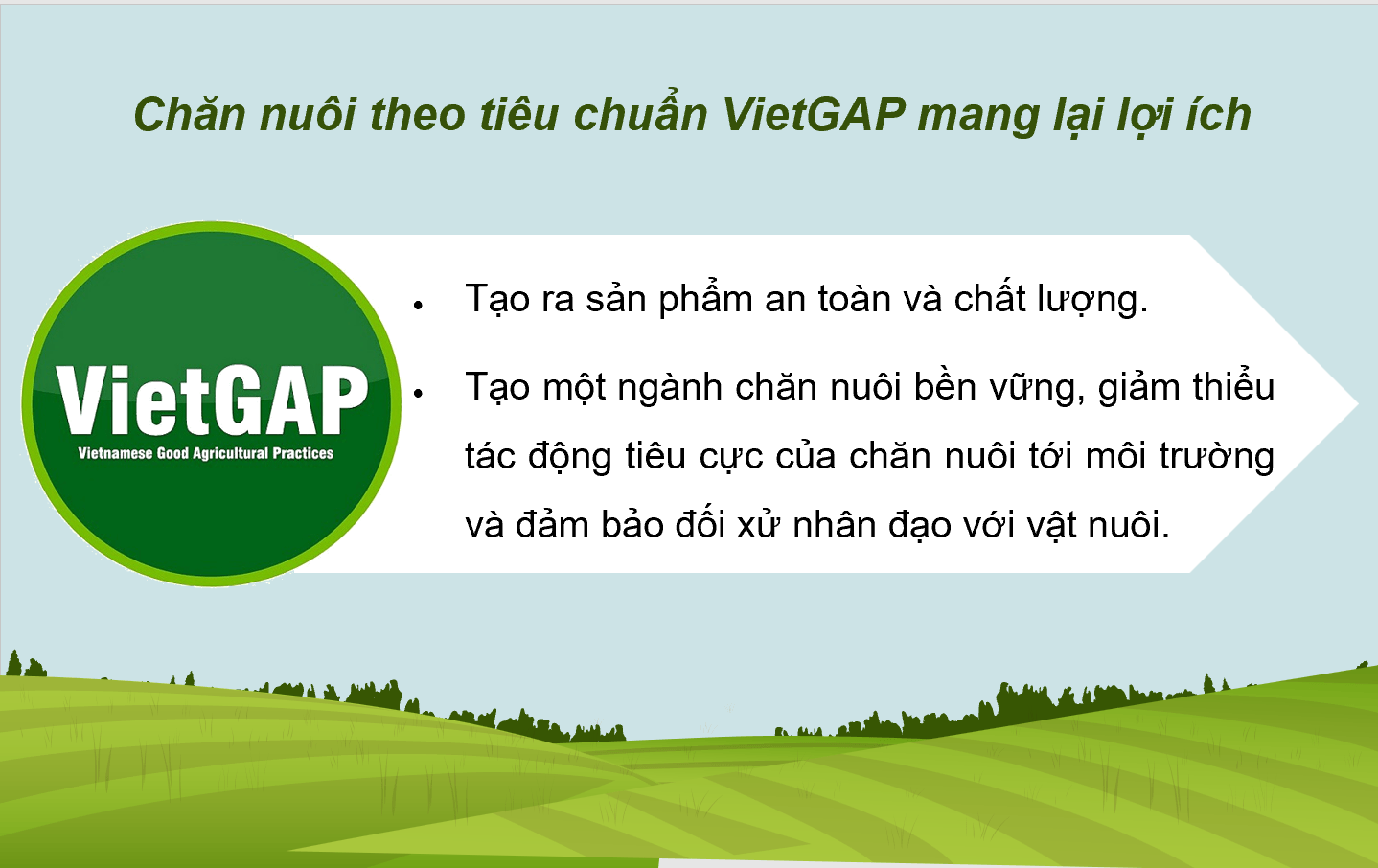 Giáo án điện tử Chuyên đề Công nghệ 11 Kết nối tri thức Bài 11: Giới thiệu về chăn nuôi theo tiêu chuẩn VietGAP | PPT Chuyên đề Công nghệ 11