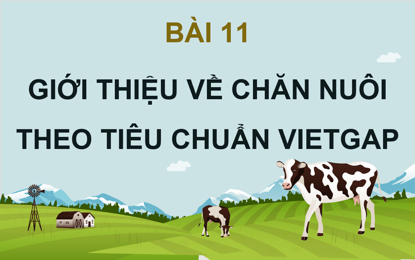 Giáo án điện tử Chuyên đề Công nghệ 11 Kết nối tri thức Bài 11: Giới thiệu về chăn nuôi theo tiêu chuẩn VietGAP | PPT Chuyên đề Công nghệ 11