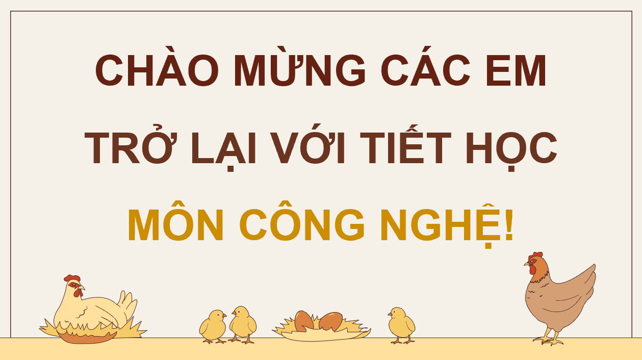 Giáo án điện tử Chuyên đề Công nghệ 11 Kết nối tri thức Bài 12: Quy trình chăn nuôi gà thịt thả vườn theo tiêu chuẩn VietGAP | PPT Chuyên đề Công nghệ 11