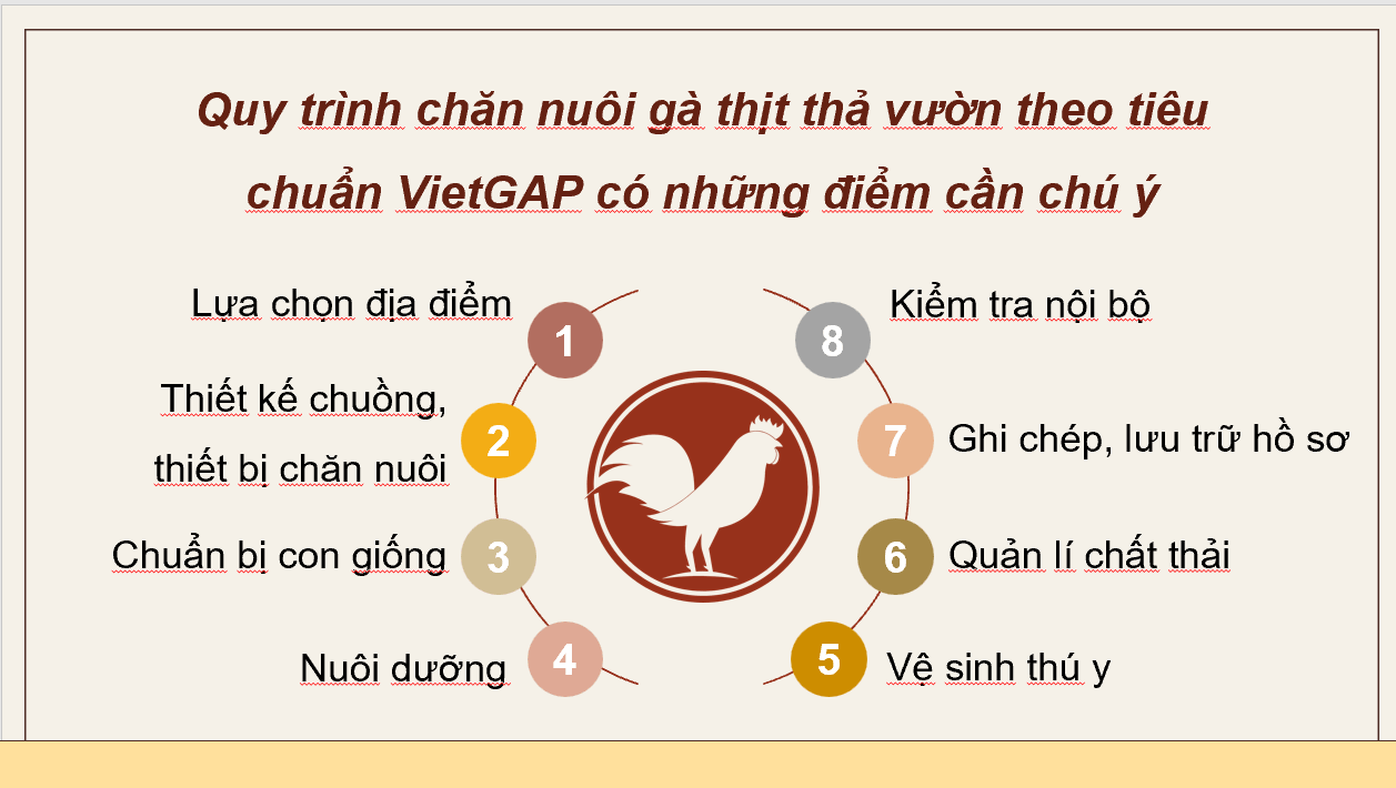 Giáo án điện tử Chuyên đề Công nghệ 11 Kết nối tri thức Bài 12: Quy trình chăn nuôi gà thịt thả vườn theo tiêu chuẩn VietGAP | PPT Chuyên đề Công nghệ 11