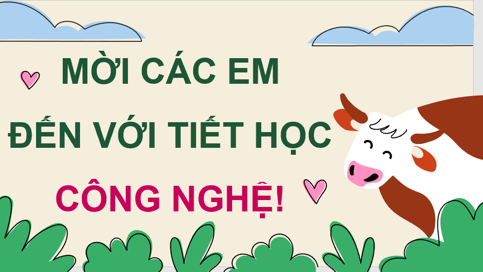 Giáo án điện tử Chuyên đề Công nghệ 11 Kết nối tri thức Bài 13: Quy trình chăn nuôi bò thịt theo tiêu chuẩn VietGAP | PPT Chuyên đề Công nghệ 11