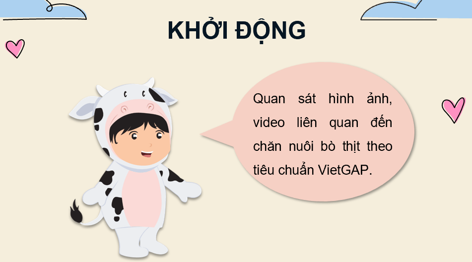 Giáo án điện tử Chuyên đề Công nghệ 11 Kết nối tri thức Bài 13: Quy trình chăn nuôi bò thịt theo tiêu chuẩn VietGAP | PPT Chuyên đề Công nghệ 11