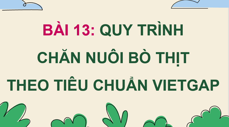 Giáo án điện tử Chuyên đề Công nghệ 11 Kết nối tri thức Bài 13: Quy trình chăn nuôi bò thịt theo tiêu chuẩn VietGAP | PPT Chuyên đề Công nghệ 11