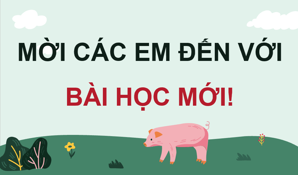 Giáo án điện tử Chuyên đề Công nghệ 11 Kết nối tri thức Bài 14: Quy trình chăn nuôi lợn thịt theo tiêu chuẩn VietGAP | PPT Chuyên đề Công nghệ 11