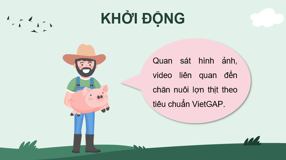 Giáo án điện tử Chuyên đề Công nghệ 11 Kết nối tri thức Bài 14: Quy trình chăn nuôi lợn thịt theo tiêu chuẩn VietGAP | PPT Chuyên đề Công nghệ 11