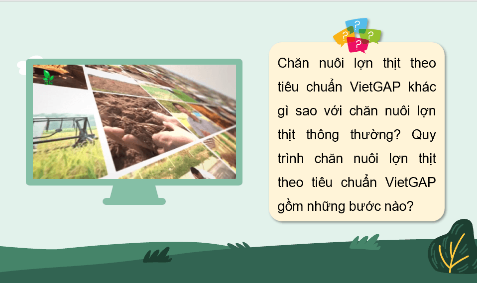 Giáo án điện tử Chuyên đề Công nghệ 11 Kết nối tri thức Bài 14: Quy trình chăn nuôi lợn thịt theo tiêu chuẩn VietGAP | PPT Chuyên đề Công nghệ 11