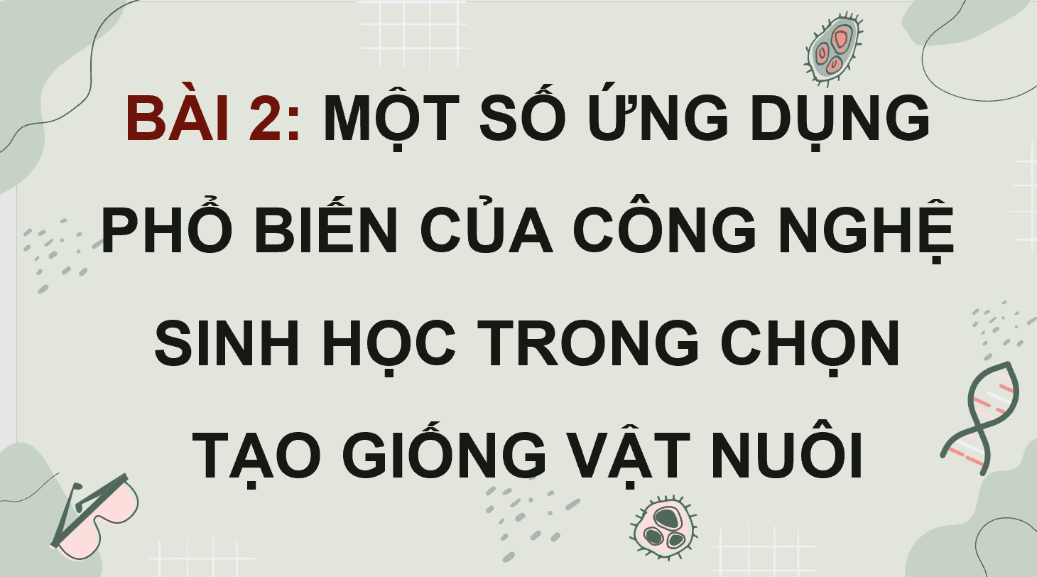 Giáo án điện tử Chuyên đề Công nghệ 11 Kết nối tri thức Bài 2: Một số ứng dụng phổ biến của công nghệ sinh học trong chọn tạo giống vật nuôi | PPT Chuyên đề Công nghệ 11