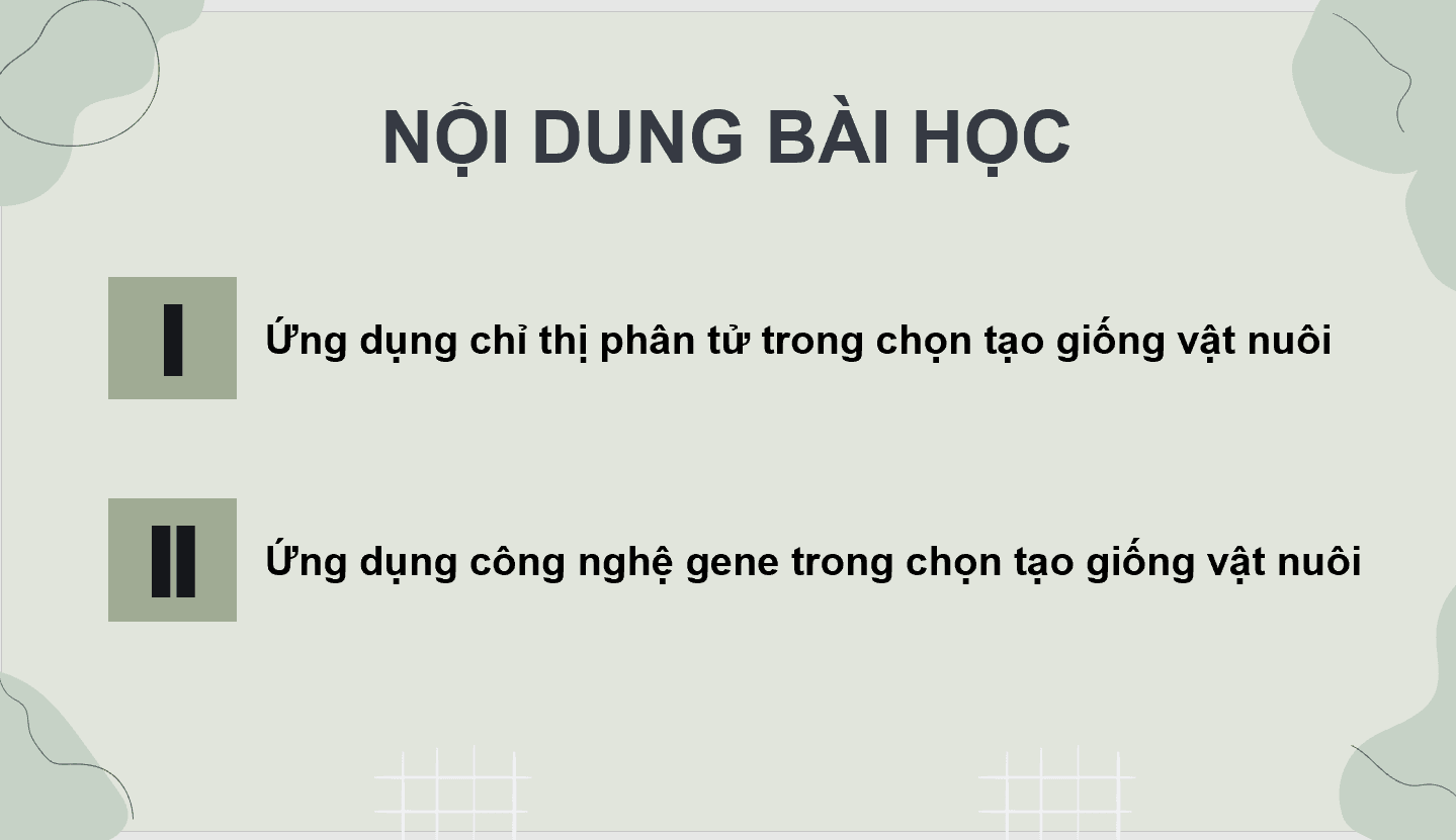 Giáo án điện tử Chuyên đề Công nghệ 11 Kết nối tri thức Bài 2: Một số ứng dụng phổ biến của công nghệ sinh học trong chọn tạo giống vật nuôi | PPT Chuyên đề Công nghệ 11
