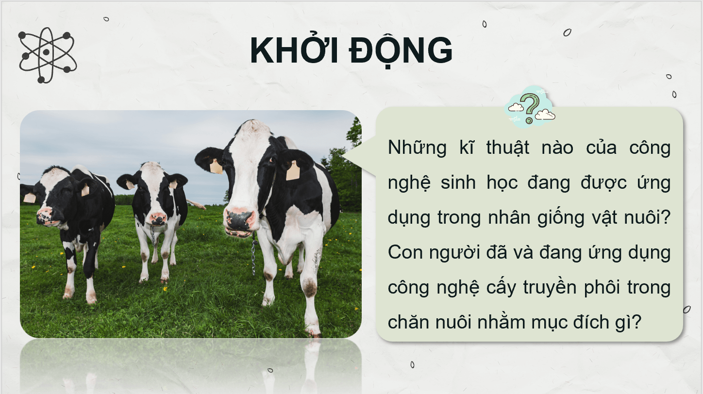 Giáo án điện tử Chuyên đề Công nghệ 11 Kết nối tri thức Bài 3: Một số ứng dụng phổ biến của công nghệ sinh học trong nhân giống vật nuôi | PPT Chuyên đề Công nghệ 11