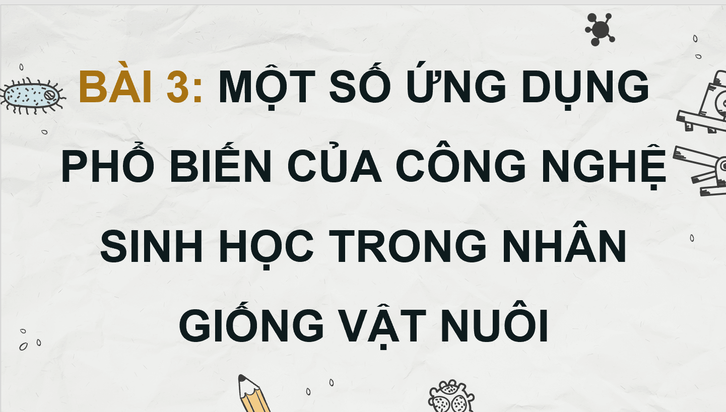 Giáo án điện tử Chuyên đề Công nghệ 11 Kết nối tri thức Bài 3: Một số ứng dụng phổ biến của công nghệ sinh học trong nhân giống vật nuôi | PPT Chuyên đề Công nghệ 11