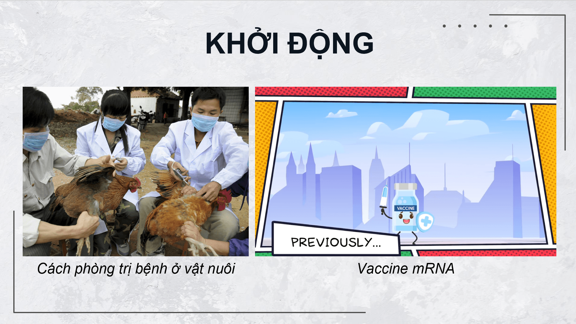 Giáo án điện tử Chuyên đề Công nghệ 11 Kết nối tri thức Bài 4: Một số ứng dụng phổ biến của công nghệ sinh học trong phòng, trị bệnh cho vật nuôi | PPT Chuyên đề Công nghệ 11