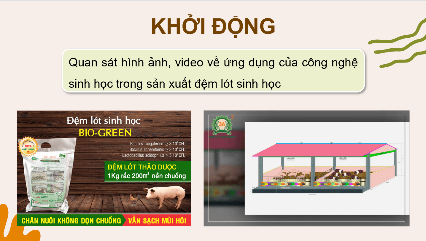 Giáo án điện tử Chuyên đề Công nghệ 11 Kết nối tri thức Bài 5: Ứng dụng công nghệ sinh học trong sản xuất đệm lót sinh học | PPT Chuyên đề Công nghệ 11