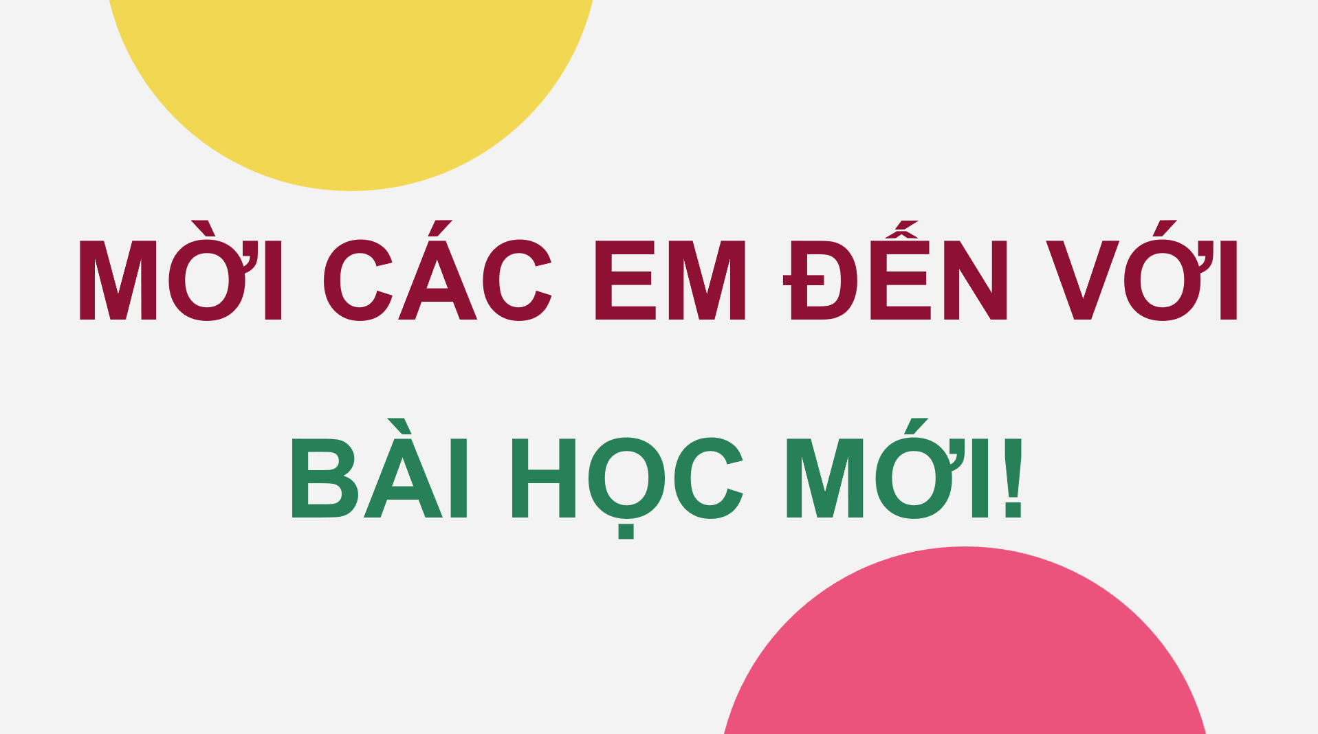 Giáo án điện tử Chuyên đề Công nghệ 11 Kết nối tri thức Bài 6: Giới thiệu về động vật cảnh | PPT Chuyên đề Công nghệ 11