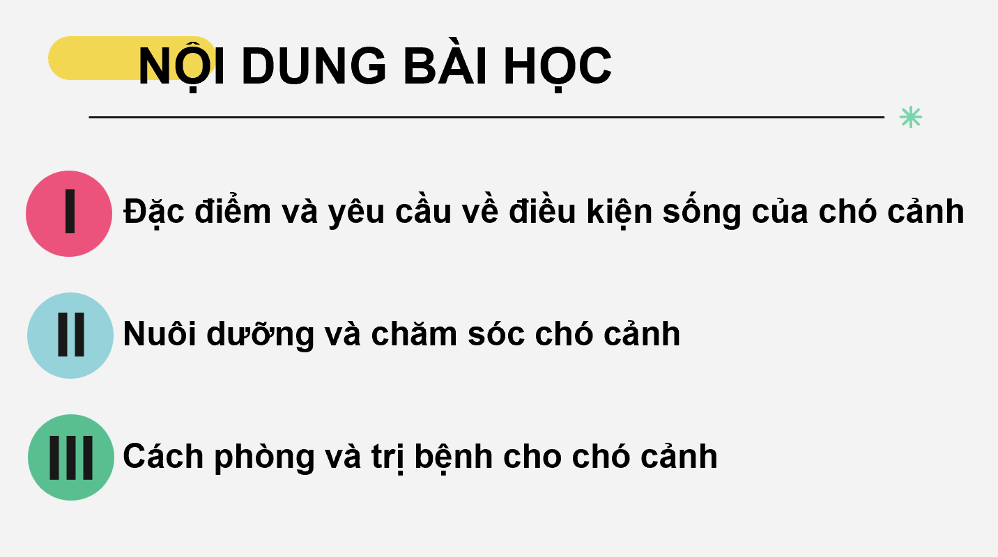 Giáo án điện tử Chuyên đề Công nghệ 11 Kết nối tri thức Bài 6: Giới thiệu về động vật cảnh | PPT Chuyên đề Công nghệ 11