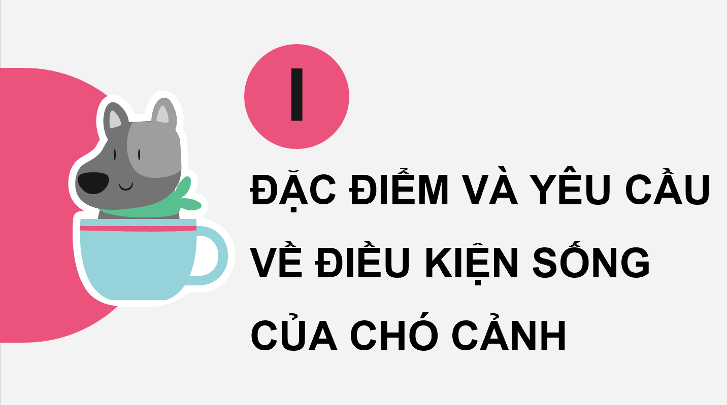 Giáo án điện tử Chuyên đề Công nghệ 11 Kết nối tri thức Bài 6: Giới thiệu về động vật cảnh | PPT Chuyên đề Công nghệ 11