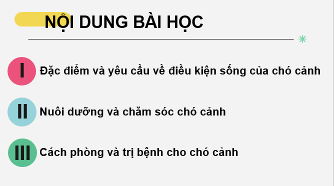 Giáo án điện tử Chuyên đề Công nghệ 11 Kết nối tri thức Bài 7: Kĩ thuật nuôi dưỡng và chăm sóc chó cảnh | PPT Chuyên đề Công nghệ 11