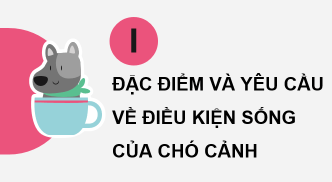 Giáo án điện tử Chuyên đề Công nghệ 11 Kết nối tri thức Bài 7: Kĩ thuật nuôi dưỡng và chăm sóc chó cảnh | PPT Chuyên đề Công nghệ 11
