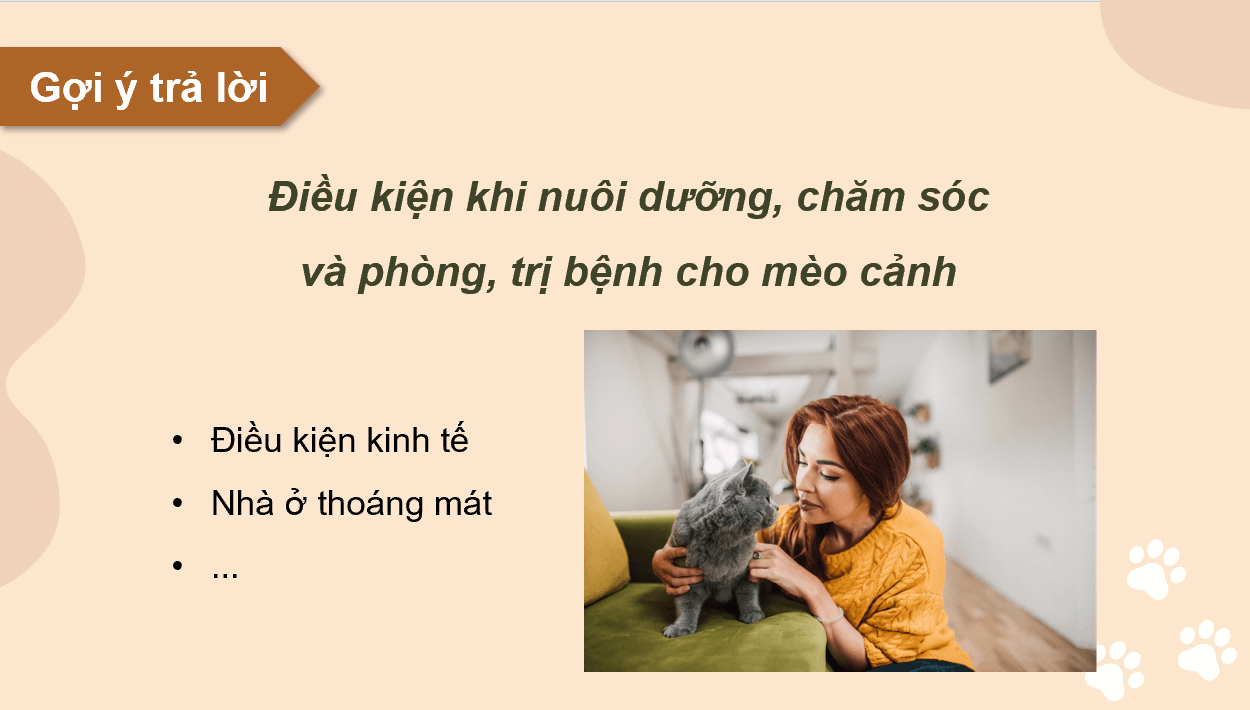 Giáo án điện tử Chuyên đề Công nghệ 11 Kết nối tri thức Bài 8: Kĩ thuật nuôi dưỡng và chăm sóc mèo cảnh | PPT Chuyên đề Công nghệ 11