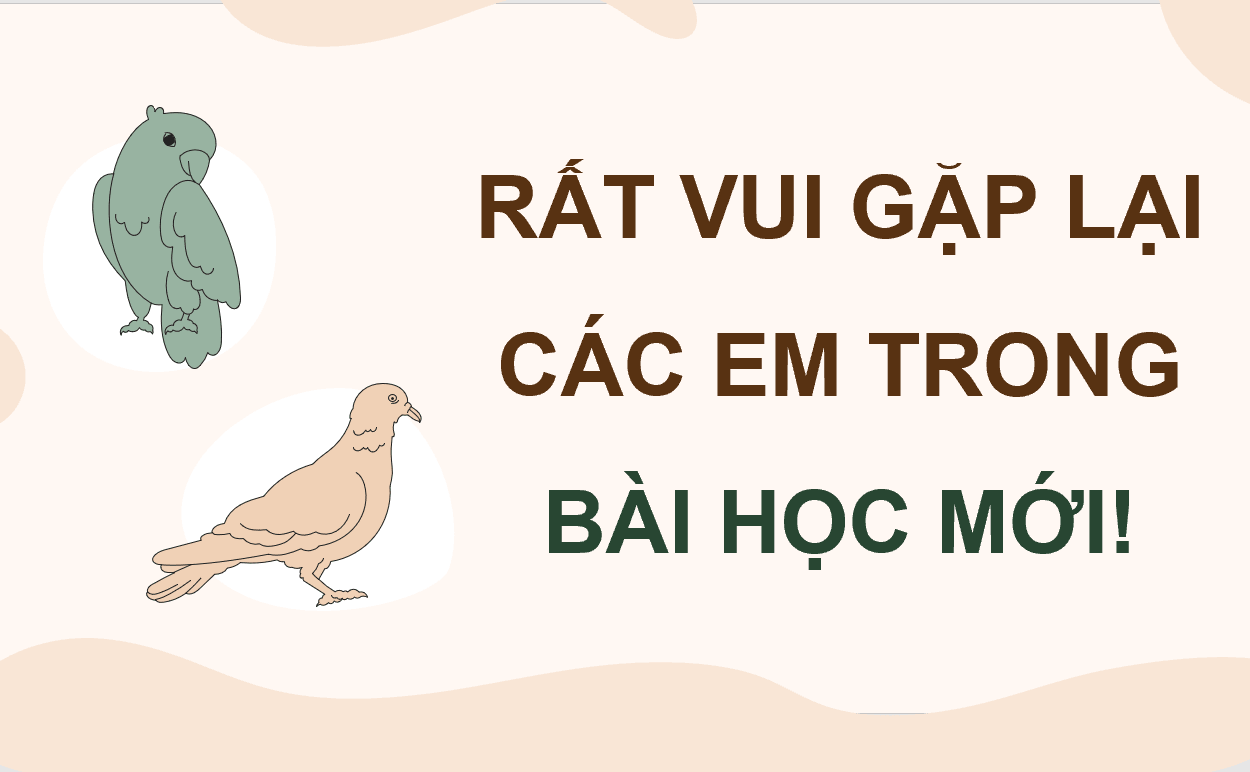 Giáo án điện tử Chuyên đề Công nghệ 11 Kết nối tri thức Bài 9: Kĩ thuật nuôi dưỡng và chăm sóc chim cảnh | PPT Chuyên đề Công nghệ 11