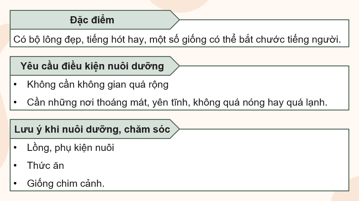 Giáo án điện tử Chuyên đề Công nghệ 11 Kết nối tri thức Bài 9: Kĩ thuật nuôi dưỡng và chăm sóc chim cảnh | PPT Chuyên đề Công nghệ 11