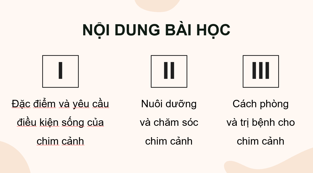 Giáo án điện tử Chuyên đề Công nghệ 11 Kết nối tri thức Bài 9: Kĩ thuật nuôi dưỡng và chăm sóc chim cảnh | PPT Chuyên đề Công nghệ 11
