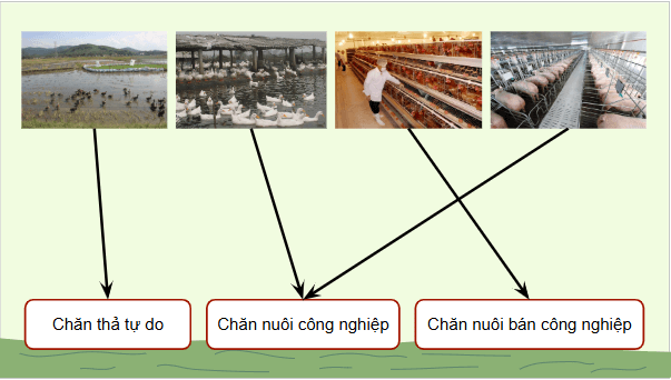 Giáo án điện tử Công nghệ 11 Kết nối tri thức Ôn tập chương 1 | PPT Công nghệ 11