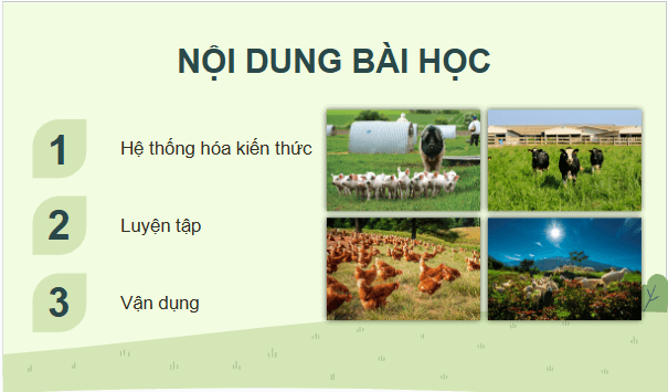 Giáo án điện tử Công nghệ 11 Kết nối tri thức Ôn tập chương 1 | PPT Công nghệ 11