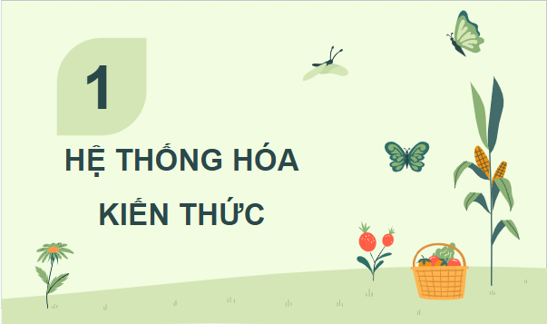 Giáo án điện tử Công nghệ 11 Kết nối tri thức Ôn tập chương 1 | PPT Công nghệ 11