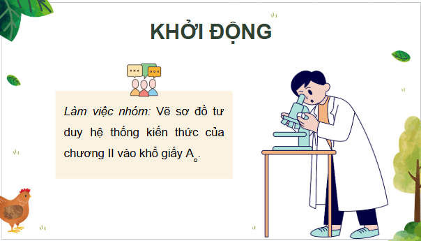 Giáo án điện tử Công nghệ 11 Kết nối tri thức Ôn tập chương 2 | PPT Công nghệ 11