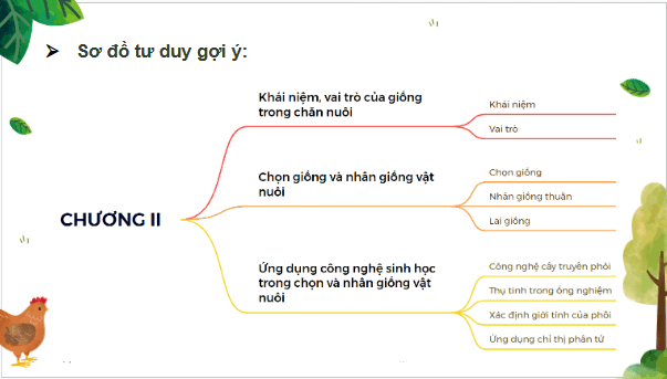 Giáo án điện tử Công nghệ 11 Kết nối tri thức Ôn tập chương 2 | PPT Công nghệ 11