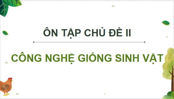 Giáo án điện tử Công nghệ 11 Kết nối tri thức Ôn tập chương 2 | PPT Công nghệ 11