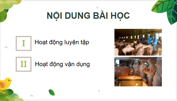 Giáo án điện tử Công nghệ 11 Kết nối tri thức Ôn tập chương 2 | PPT Công nghệ 11