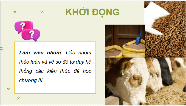 Giáo án điện tử Công nghệ 11 Kết nối tri thức Ôn tập chương 3 | PPT Công nghệ 11