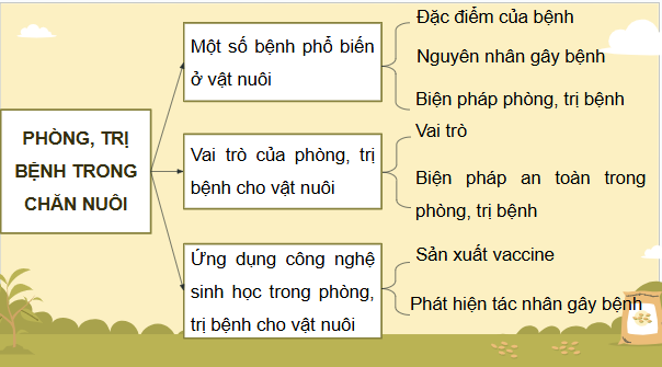 Giáo án điện tử Công nghệ 11 Kết nối tri thức Ôn tập chương 4 | PPT Công nghệ 11