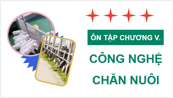 Giáo án điện tử Công nghệ 11 Kết nối tri thức Ôn tập chương 5 | PPT Công nghệ 11