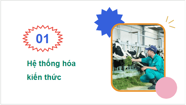 Giáo án điện tử Công nghệ 11 Kết nối tri thức Ôn tập chương 5 | PPT Công nghệ 11