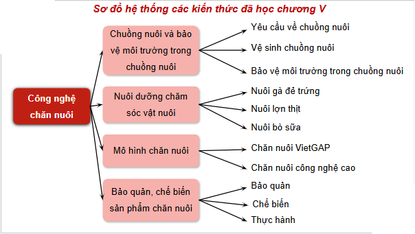 Giáo án điện tử Công nghệ 11 Kết nối tri thức Ôn tập chương 5 | PPT Công nghệ 11