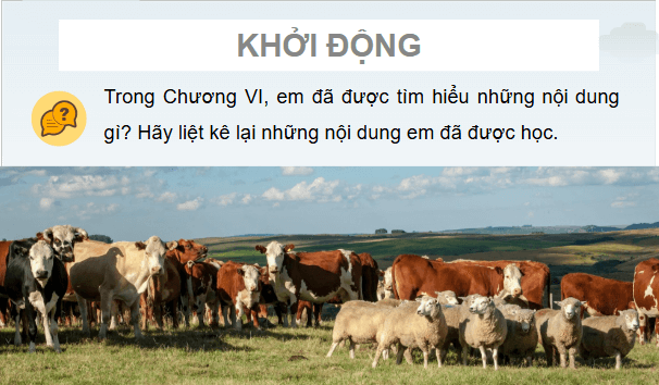 Giáo án điện tử Công nghệ 11 Kết nối tri thức Ôn tập chương 6 | PPT Công nghệ 11