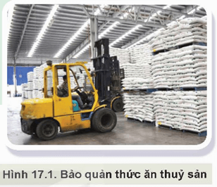 Giáo án Công nghệ 12 Kết nối tri thức Bài 17: Phương pháp bảo quản và chế biến thức ăn thuỷ sản