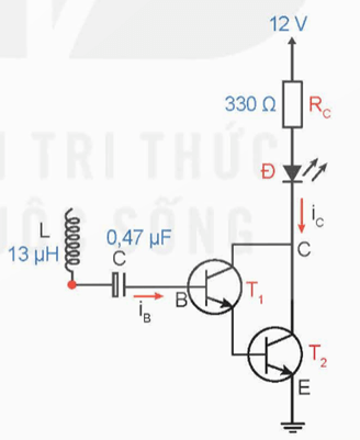 Giáo án Công nghệ 12 Kết nối tri thức Bài 17: Thực hành: Mạch phát hiện dòng điện xoay chiều trong dây dẫn