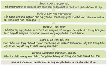 Giáo án Công nghệ 12 Kết nối tri thức Bài 18: Ứng dụng công nghệ sinh học trong bảo quản, chế biến thức ăn thuỷ sản