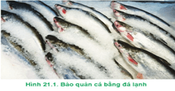 Giáo án Công nghệ 12 Cánh diều Bài 21: Bảo quản và chế biến thuỷ sản