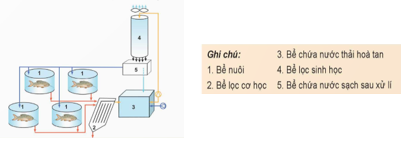 Giáo án Công nghệ 12 Kết nối tri thức Bài 21: Một số ứng dụng công nghệ cao trong nuôi thuỷ sản