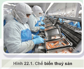 Giáo án Công nghệ 12 Kết nối tri thức Bài 22: Bảo quản và chế biến sản phẩm thuỷ sản sản