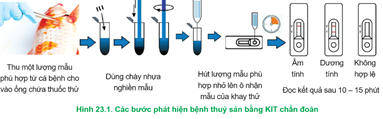 Giáo án Công nghệ 12 Cánh diều Bài 23: Ứng dụng công nghệ sinh học trong phòng, trị bệnh thuỷ sản