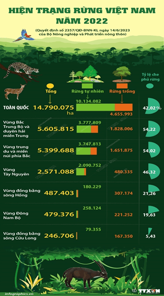 Giáo án Công nghệ 12 Cánh diều Bài 7: Thực trạng trồng, chăm sóc, bảo vệ và khai thác rừng